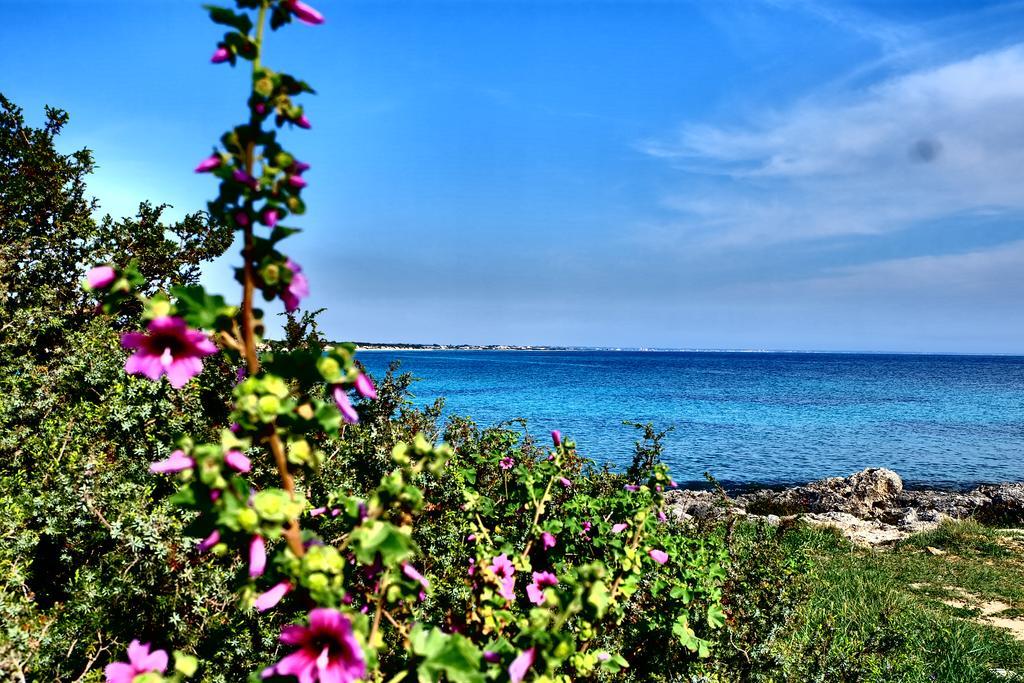 Oasi San Pio Apartamento Porto Cesareo Exterior foto