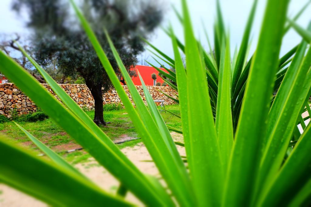 Oasi San Pio Apartamento Porto Cesareo Exterior foto