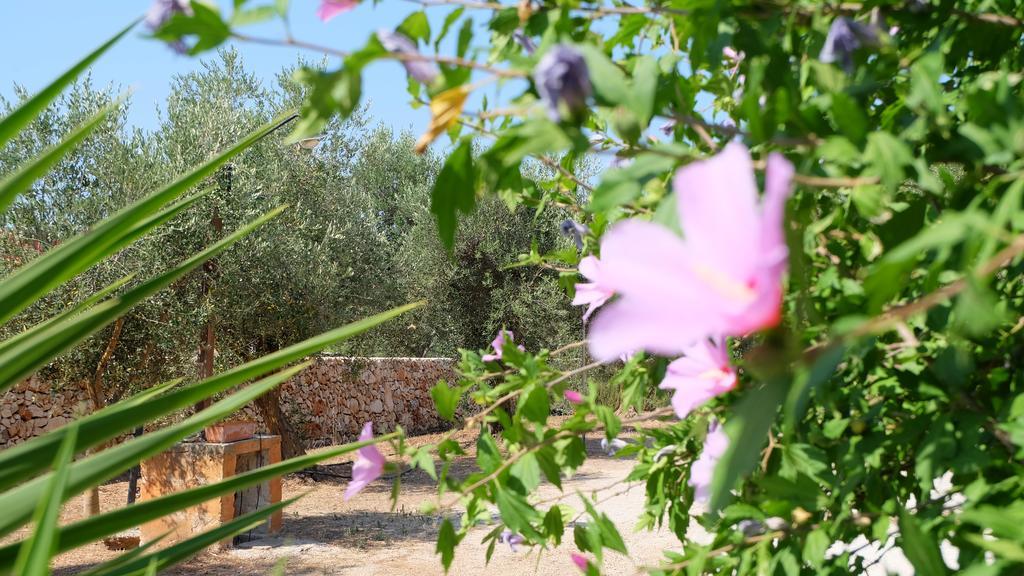 Oasi San Pio Apartamento Porto Cesareo Exterior foto