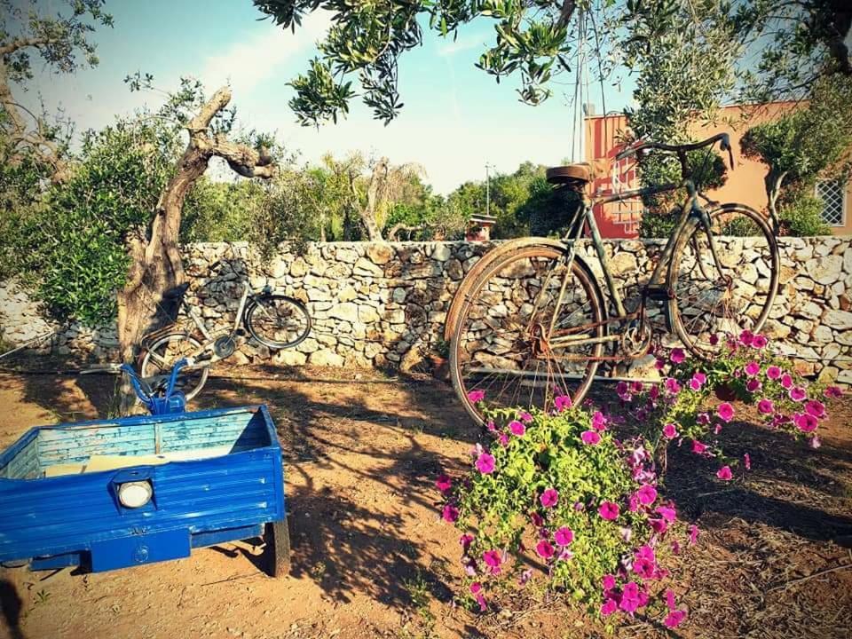 Oasi San Pio Apartamento Porto Cesareo Exterior foto