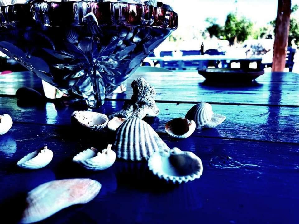 Oasi San Pio Apartamento Porto Cesareo Exterior foto